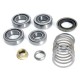 Kit de réparation roulements Dana 35 - Wrangler TJ 96 - 06