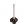 Soupape d échappement Standard Nr. 60 2.5-L